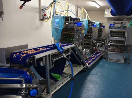 Garnalenpelmachines in bedrijf